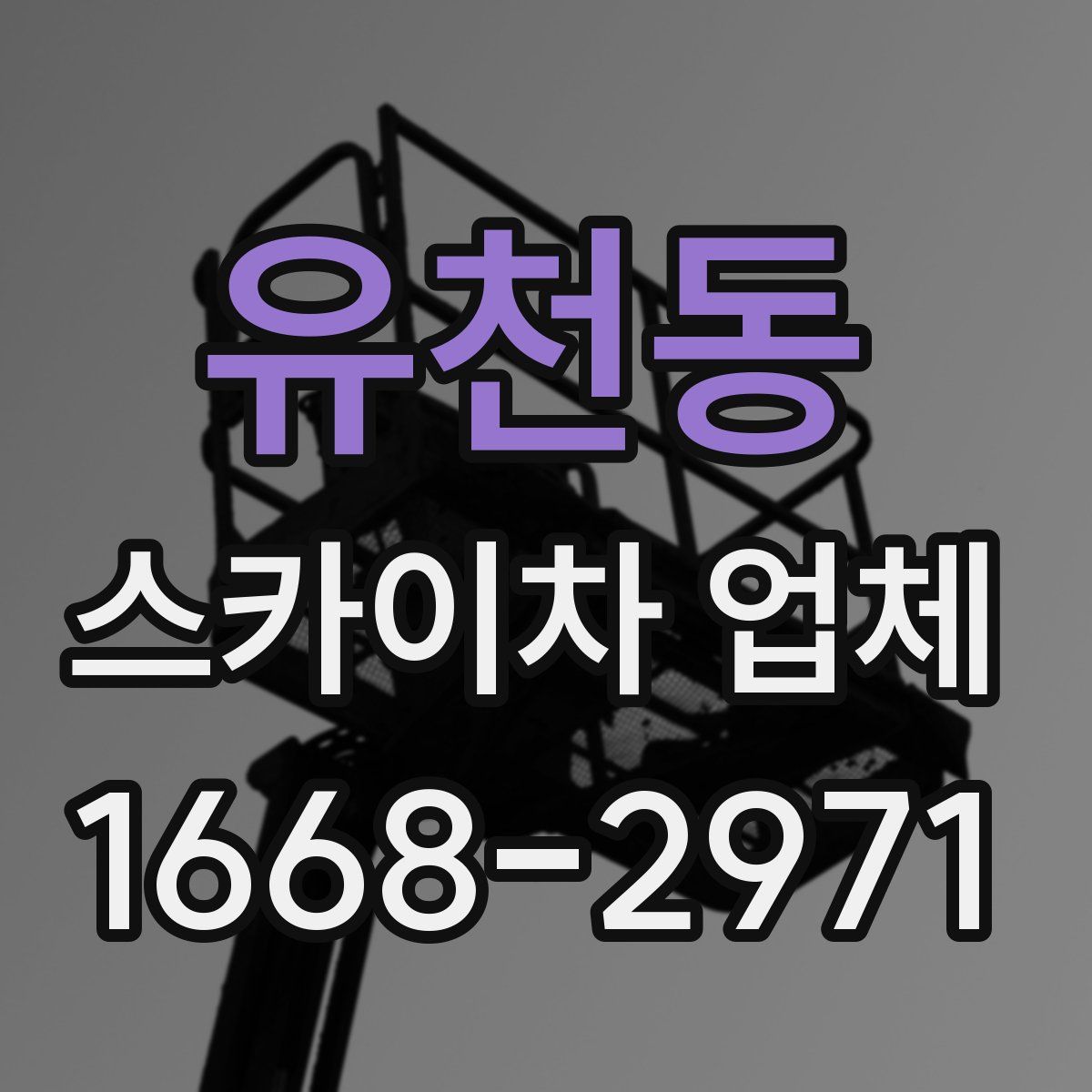 유천동 스카이차 업체