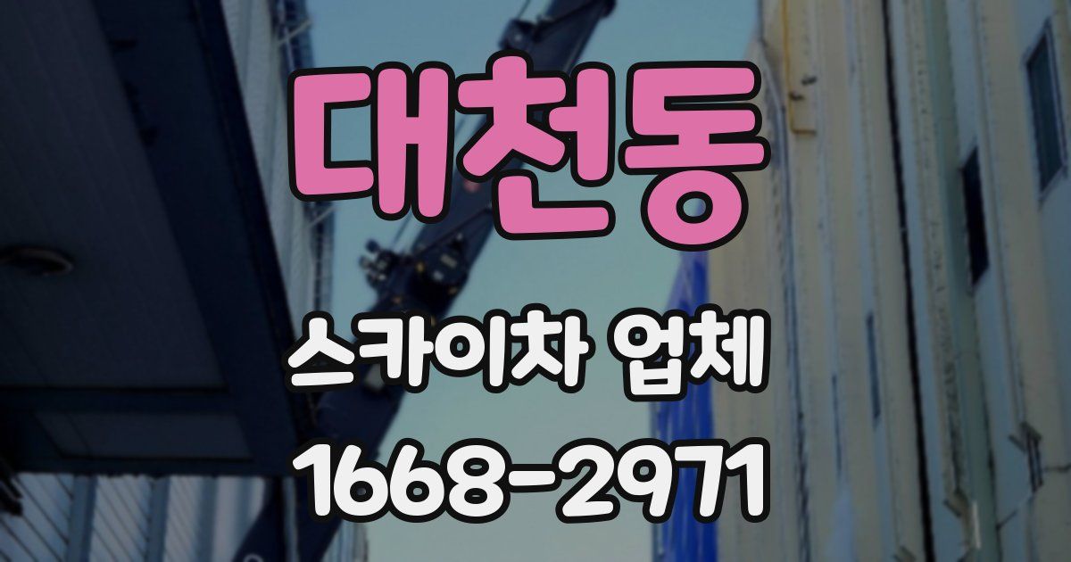 대천동 스카이차 업체