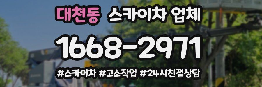 대천동 스카이차 업체