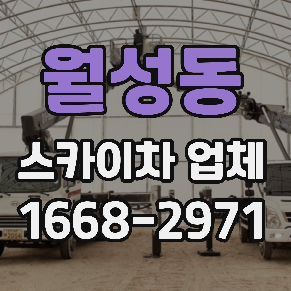 월성동 스카이차 업체