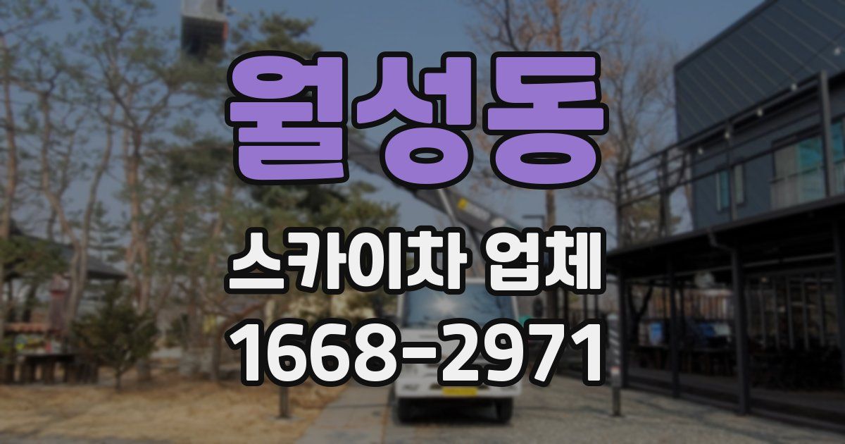 월성동 스카이차 업체
