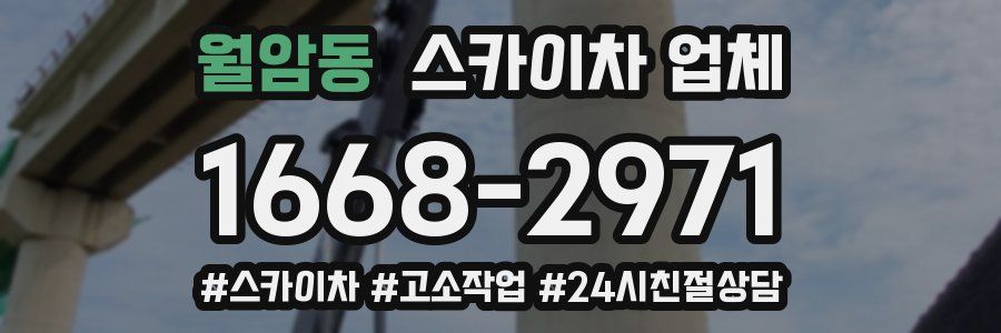 월암동 스카이차 업체