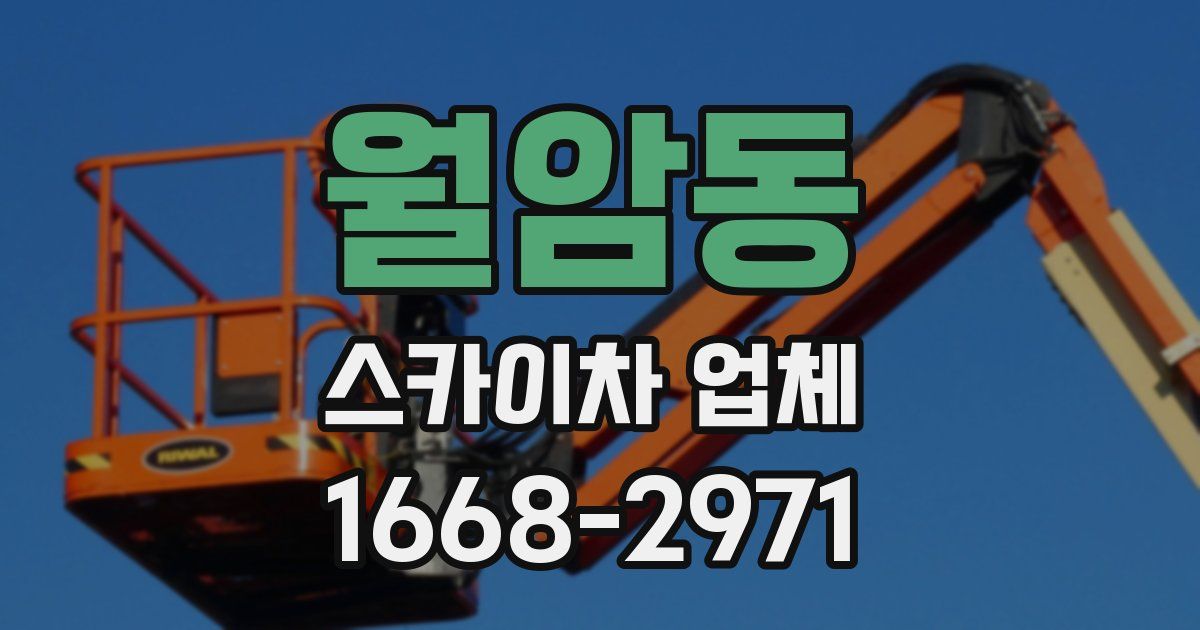 월암동 스카이차 업체
