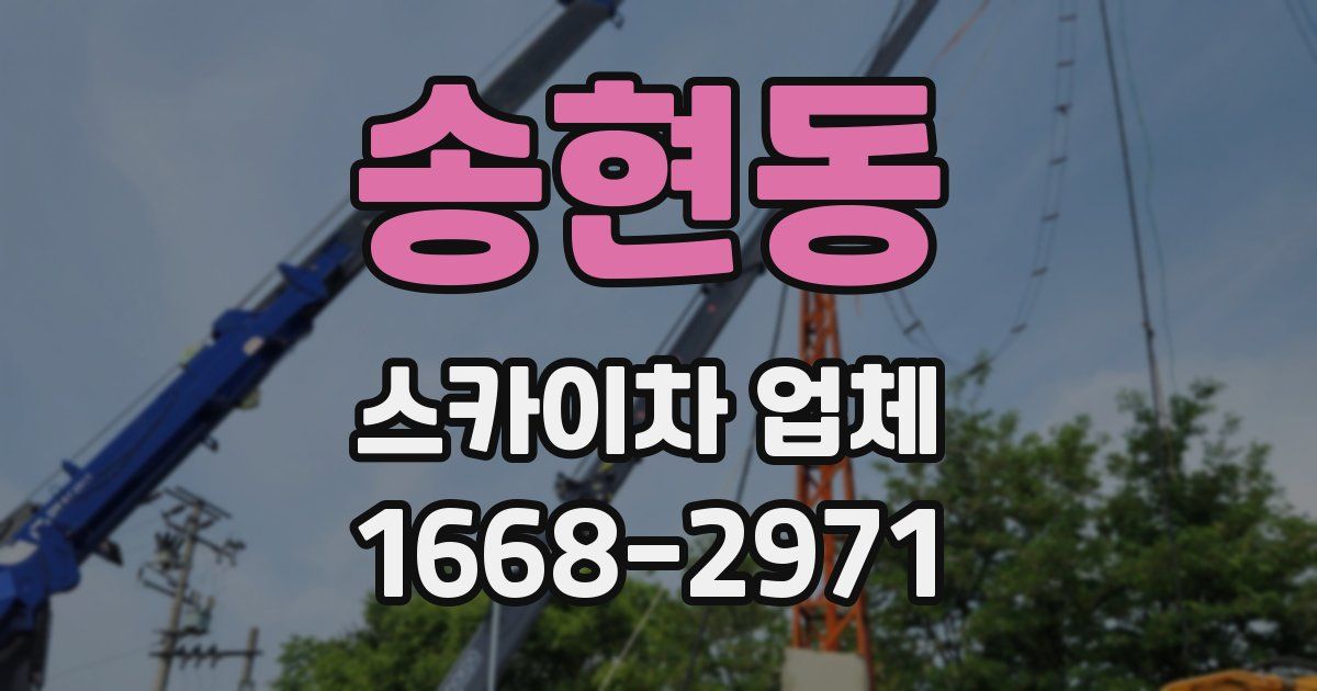 송현동 스카이차 업체