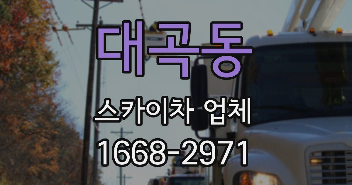 대곡동 스카이차 업체