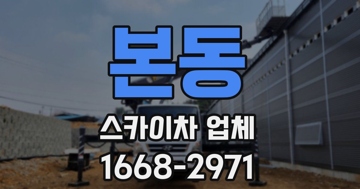 본동 스카이차 업체