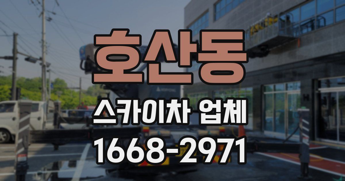 호산동 스카이차 업체