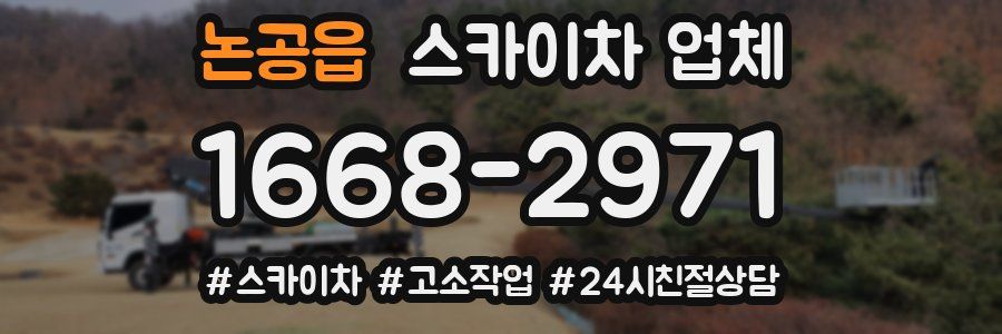 논공읍 스카이차 업체