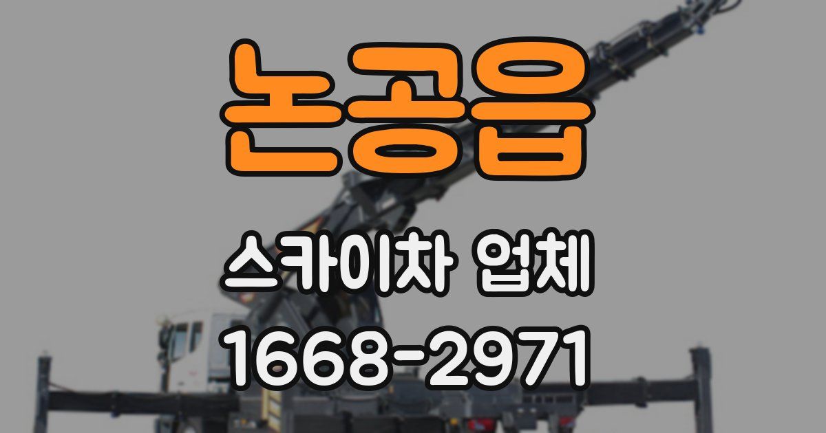 논공읍 스카이차 업체