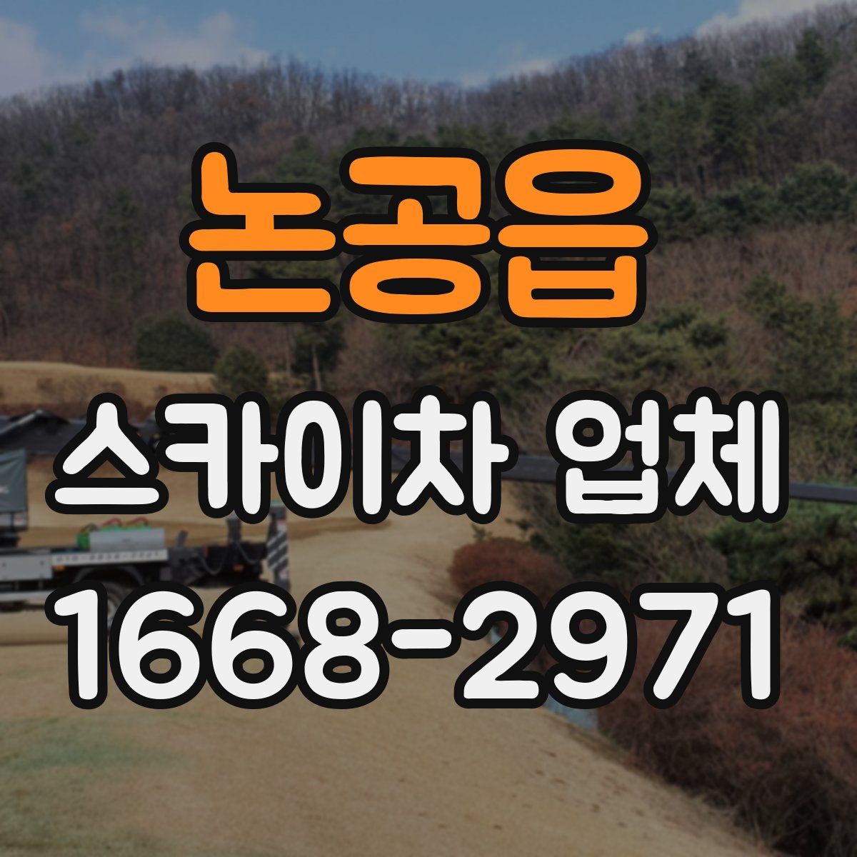 논공읍 스카이차 업체