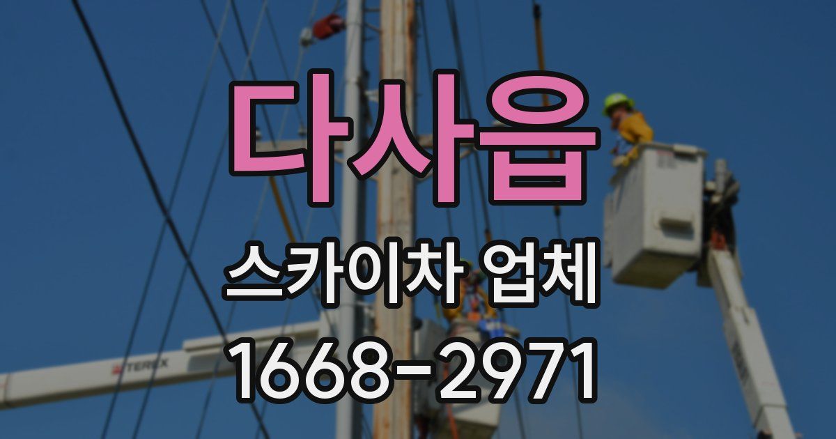 다사읍 스카이차 업체