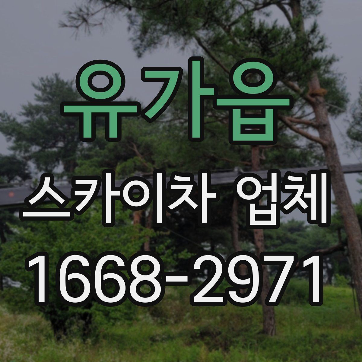 유가읍 스카이차 업체 비교할 때 자주 묻는 질문