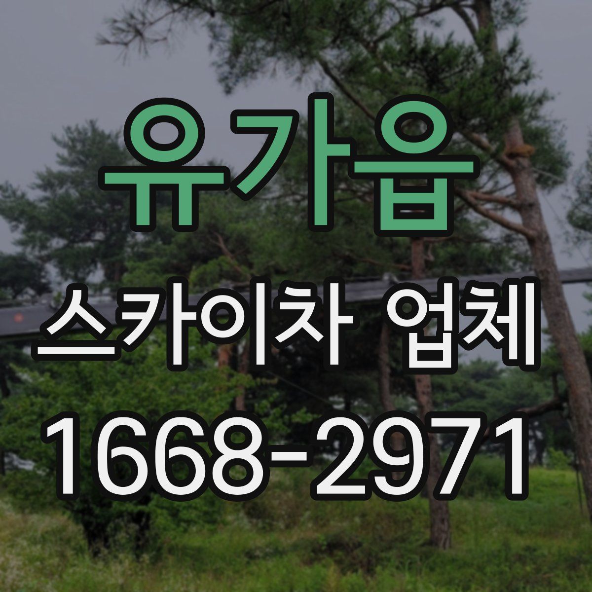 유가읍 스카이차 업체
