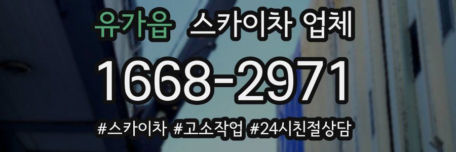 유가읍 스카이차 업체