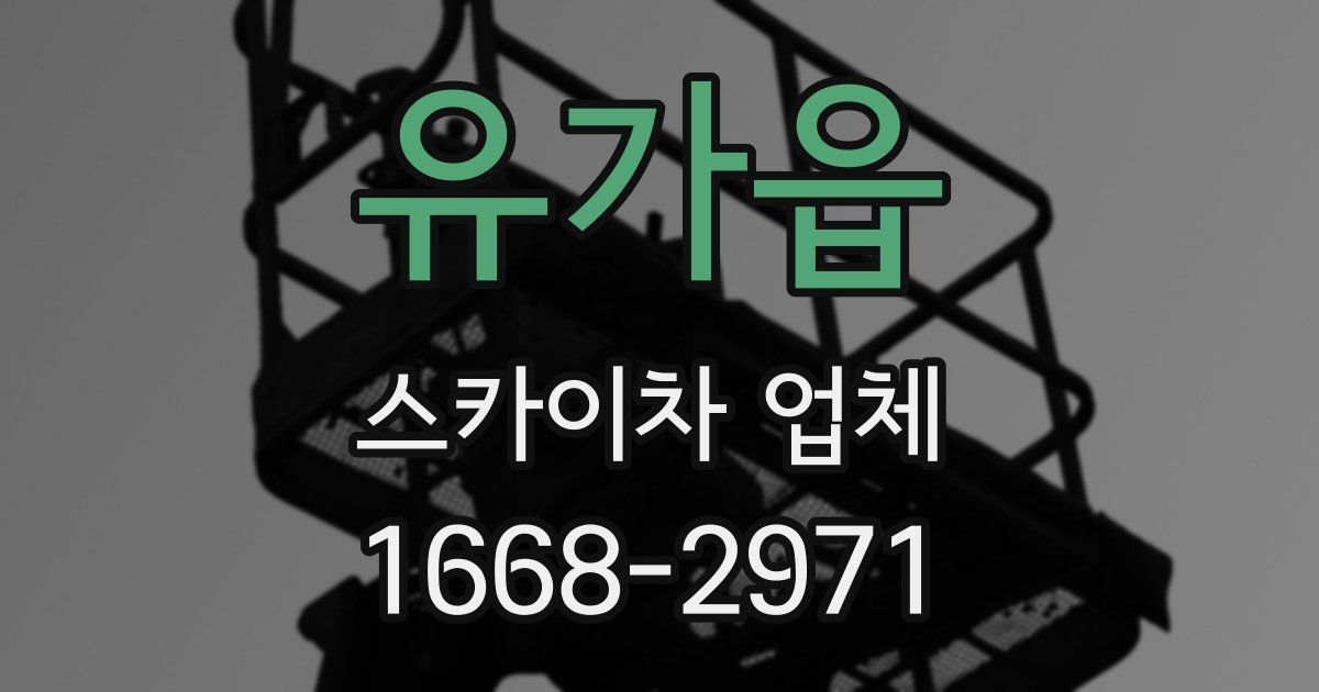 유가읍 스카이차 업체