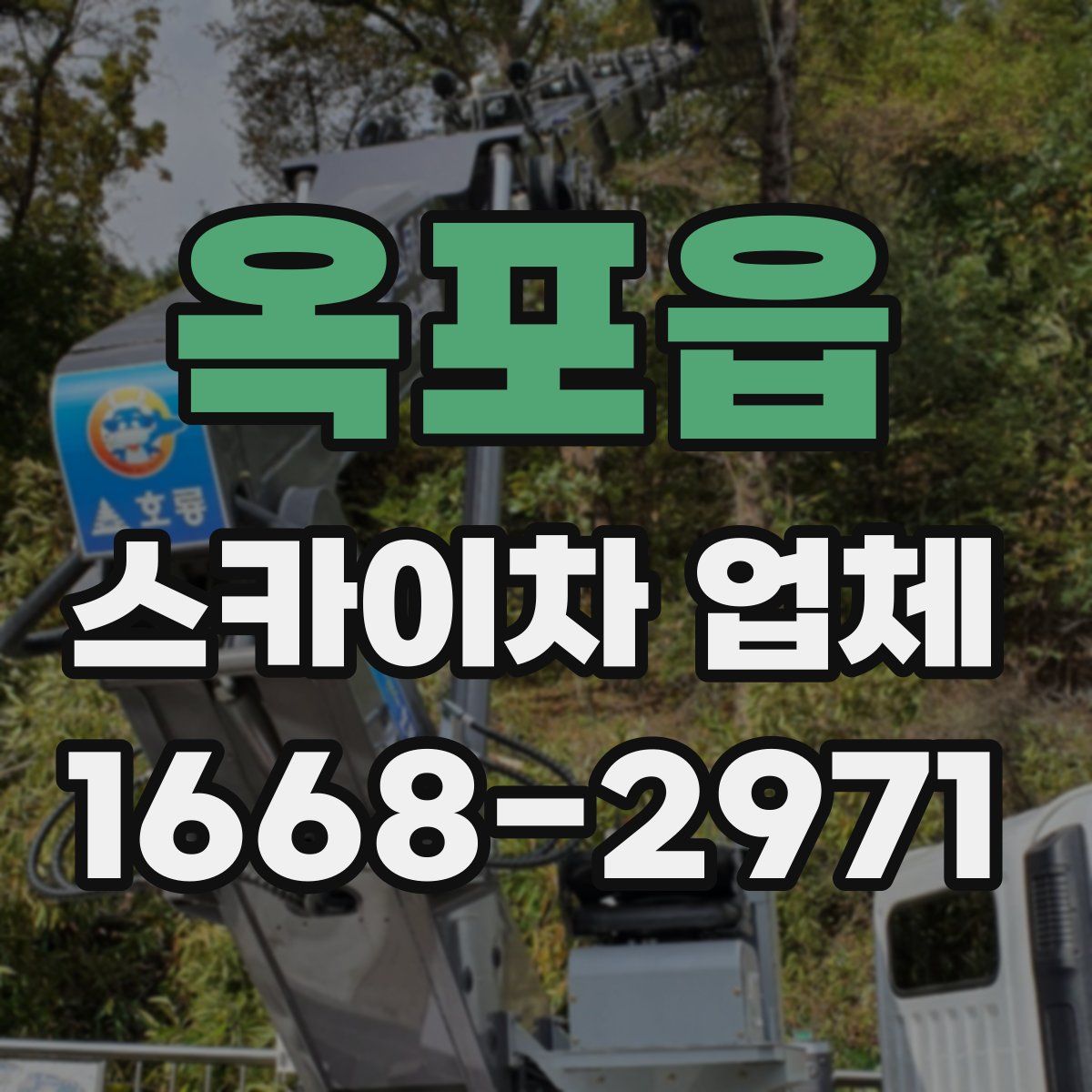 옥포읍 스카이차 업체