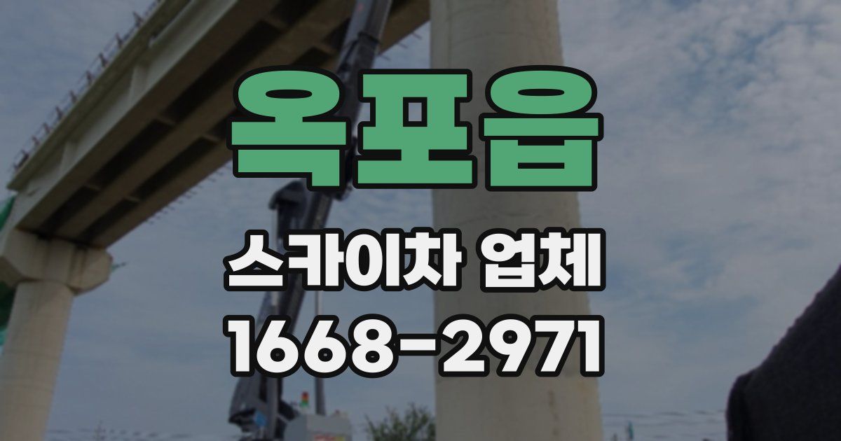 옥포읍 스카이차 업체