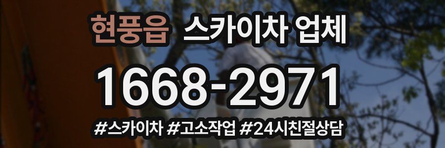 현풍읍 스카이차 업체