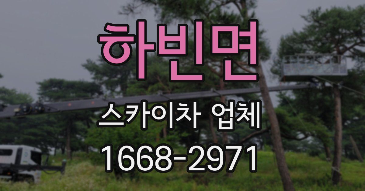 하빈면 스카이차 업체