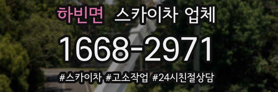 하빈면 스카이차 업체