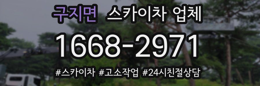 구지면 스카이차 업체