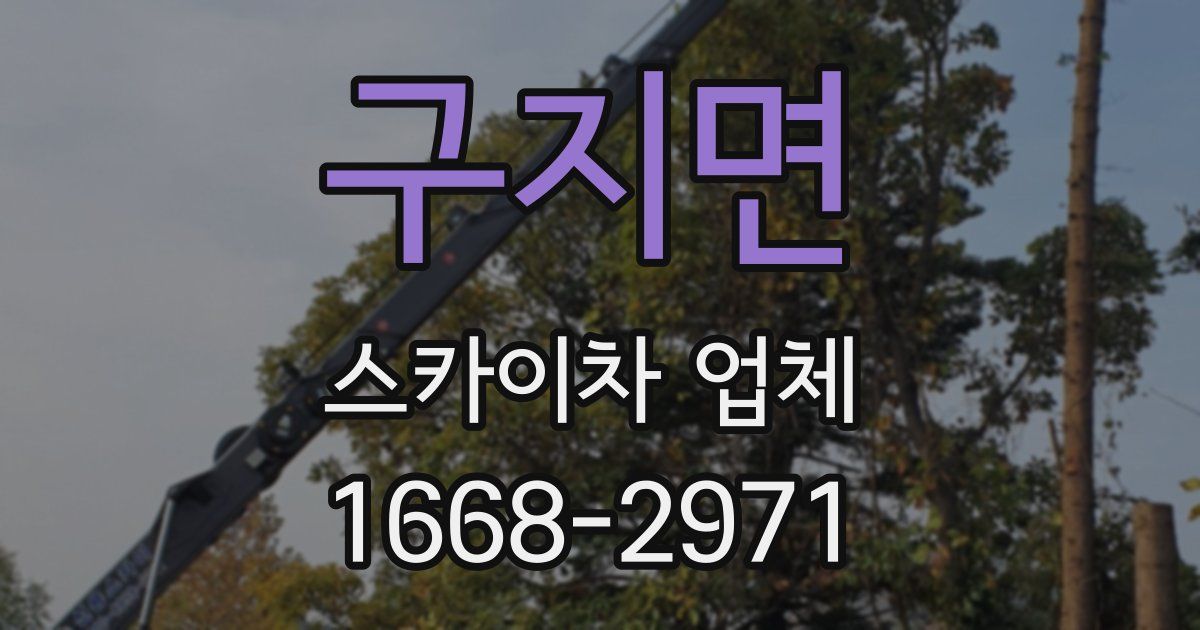 구지면 스카이차 업체