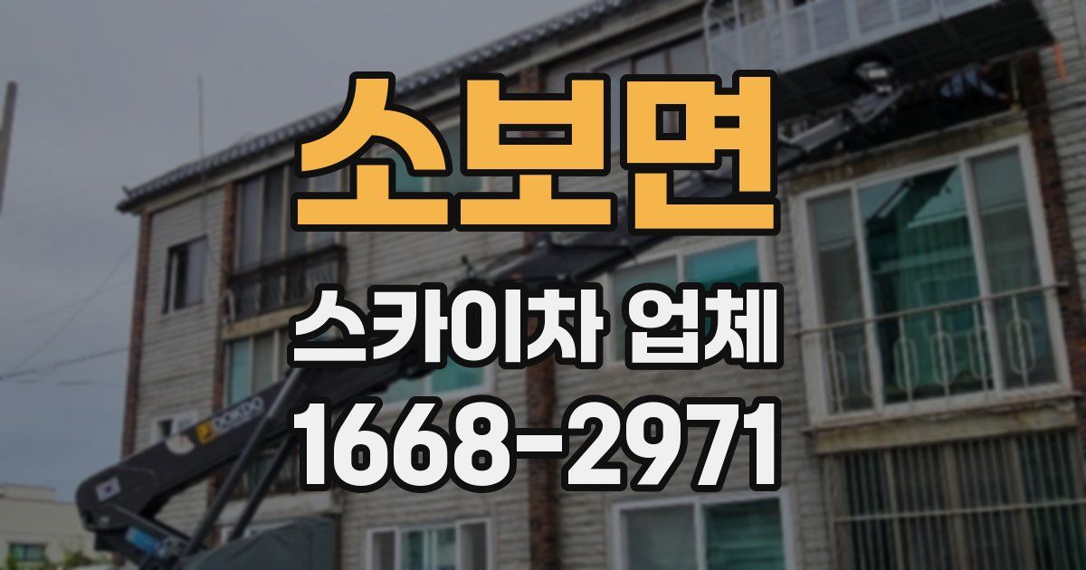 소보면 스카이차 업체