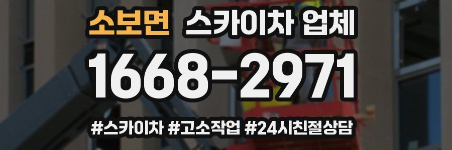소보면 스카이차 업체