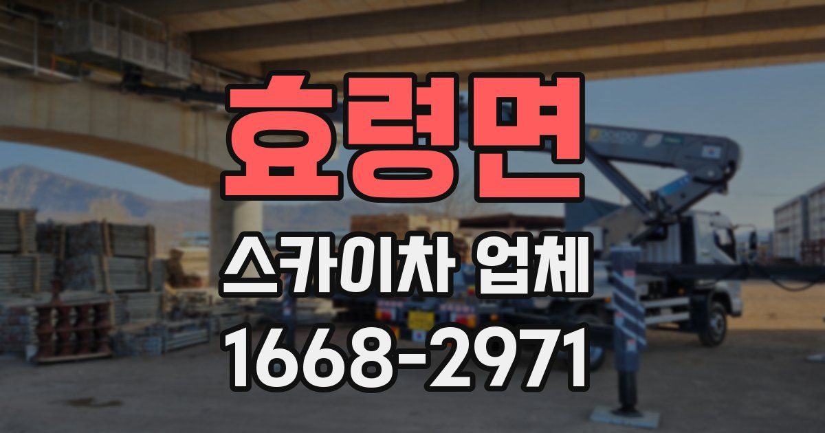 효령면 스카이차 업체