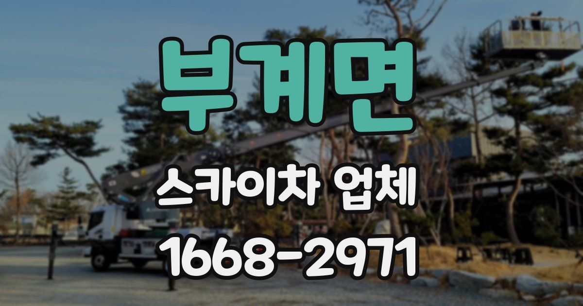 부계면 스카이차 업체