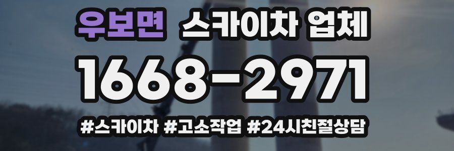 우보면 스카이차 업체