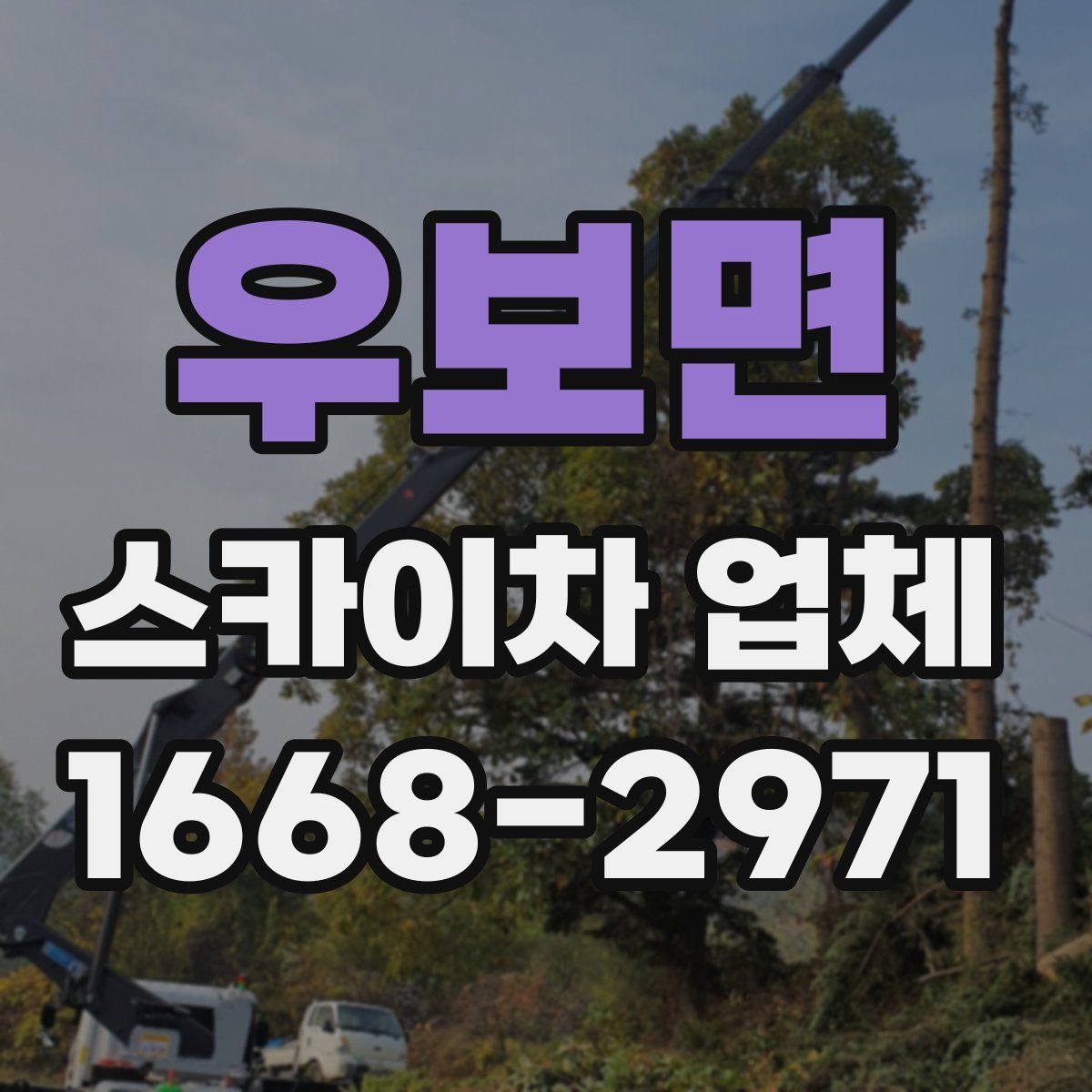 우보면 스카이차 업체