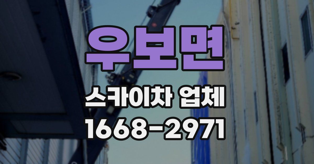우보면 스카이차 업체