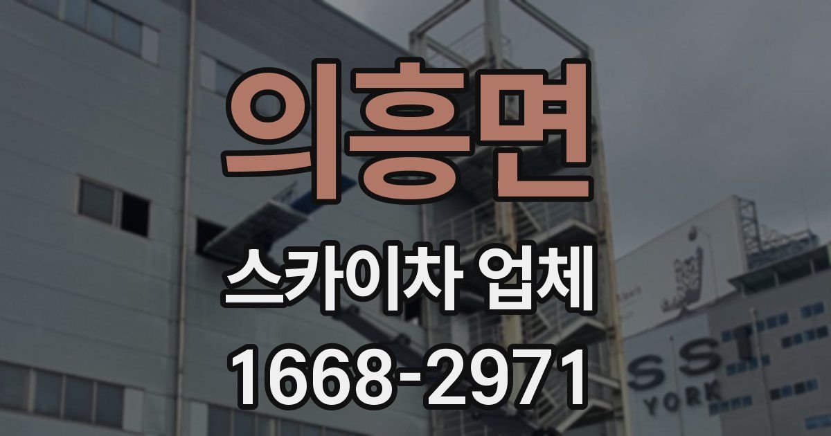 의흥면 스카이차 업체