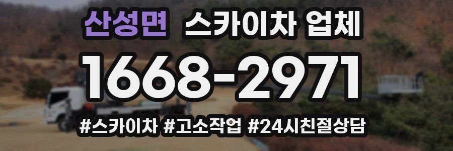 산성면 스카이차 업체