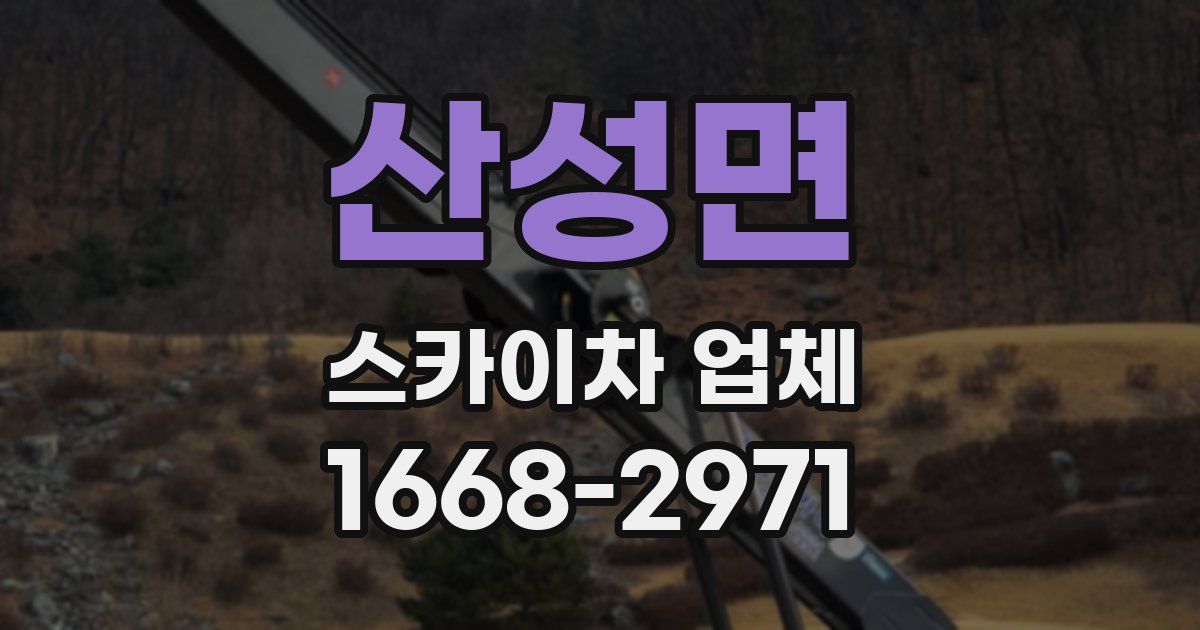산성면 스카이차 업체