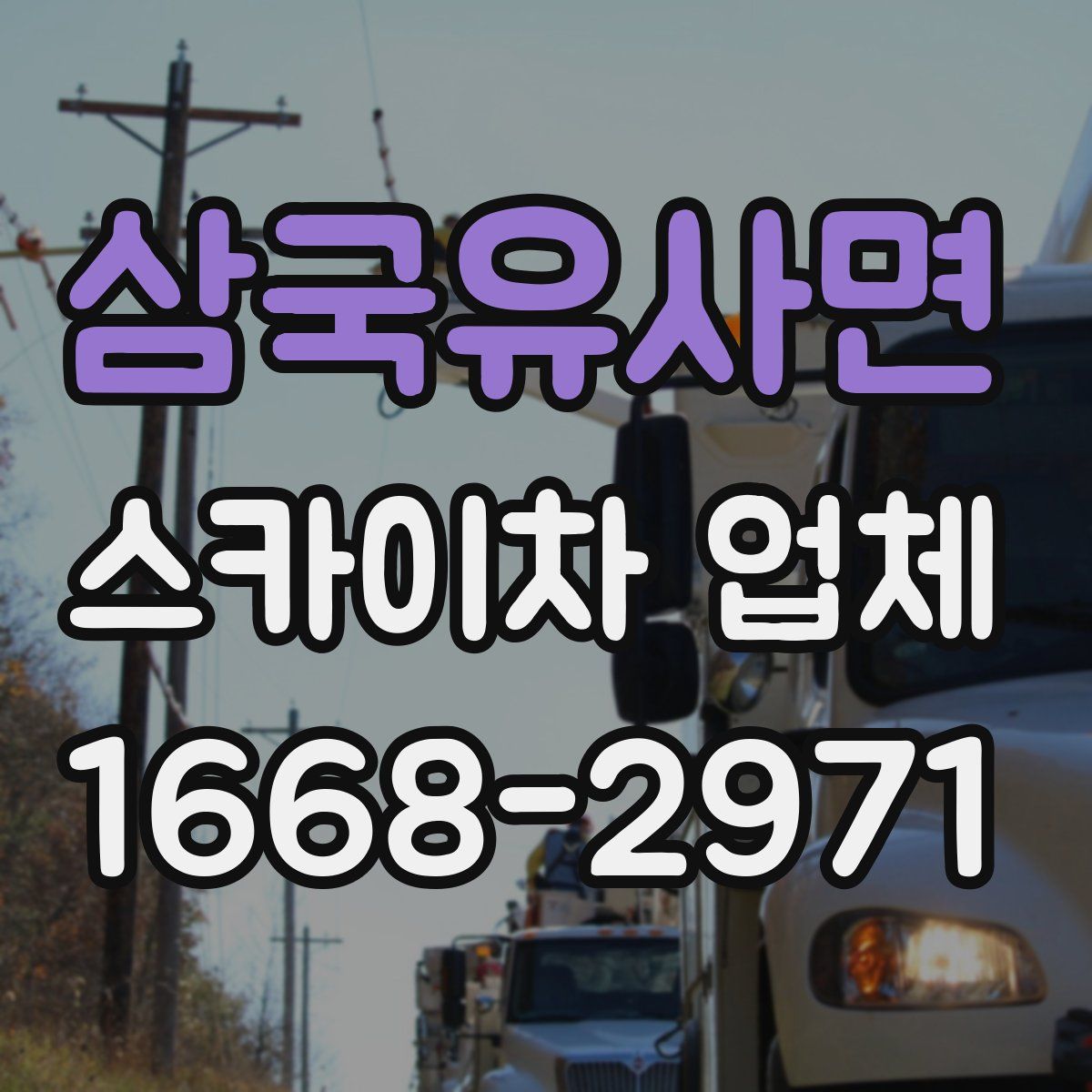 삼국유사면 스카이차 업체