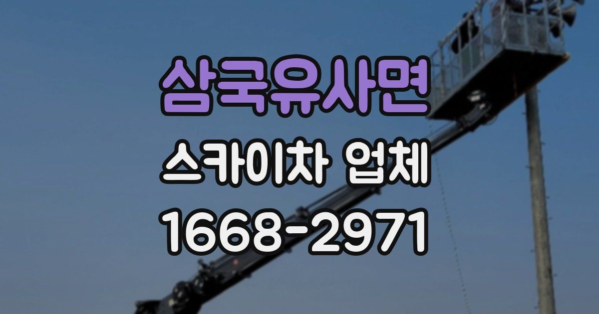 삼국유사면 스카이차 업체