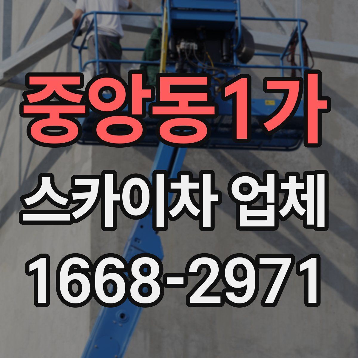 중앙동1가 스카이차 업체