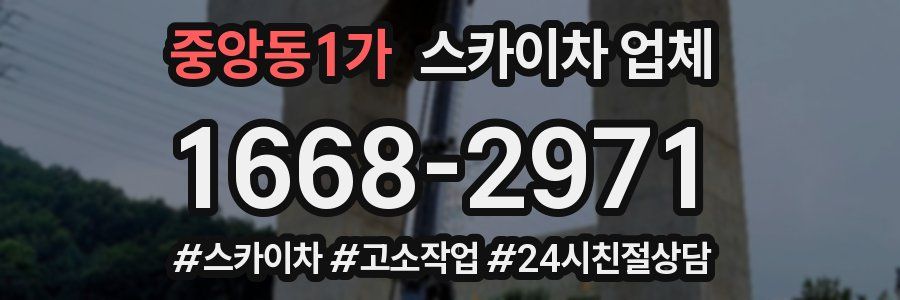 중앙동1가 스카이차 업체