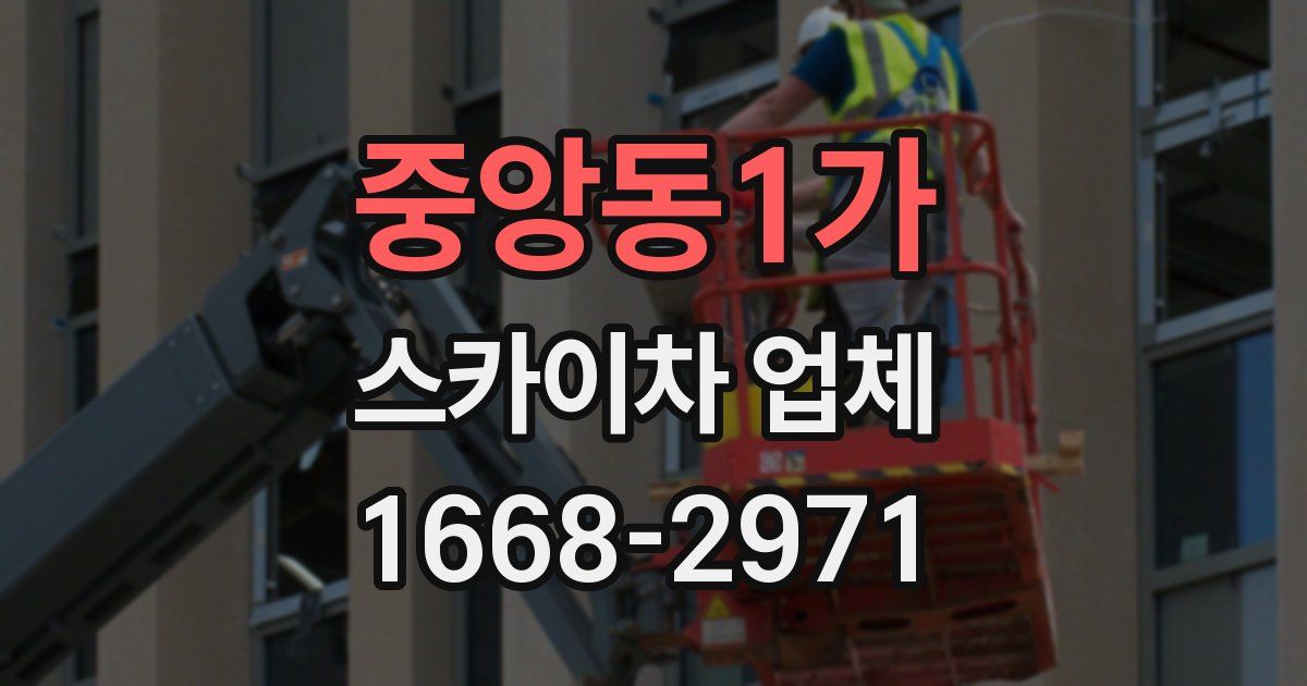 중앙동1가 스카이차 업체