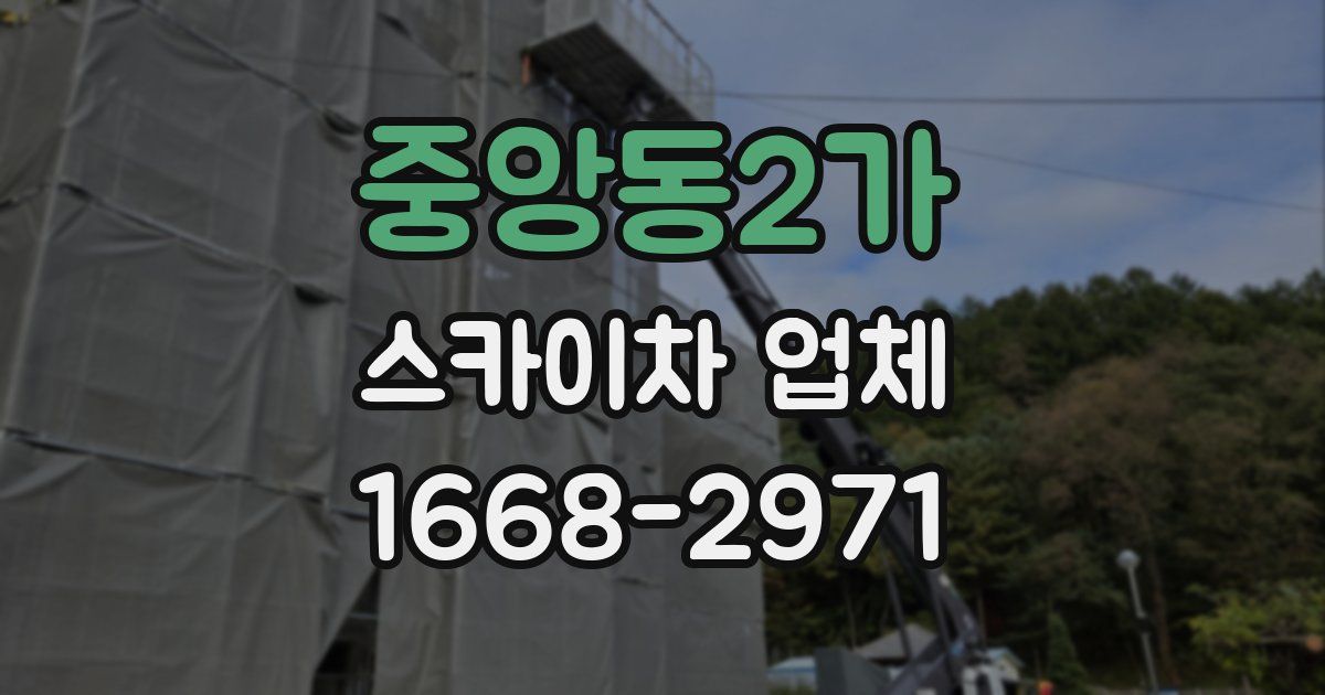 중앙동2가 스카이차 업체