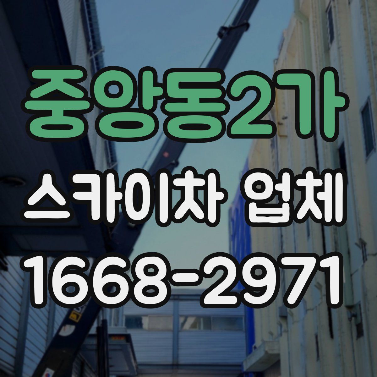 중앙동2가 스카이차 업체