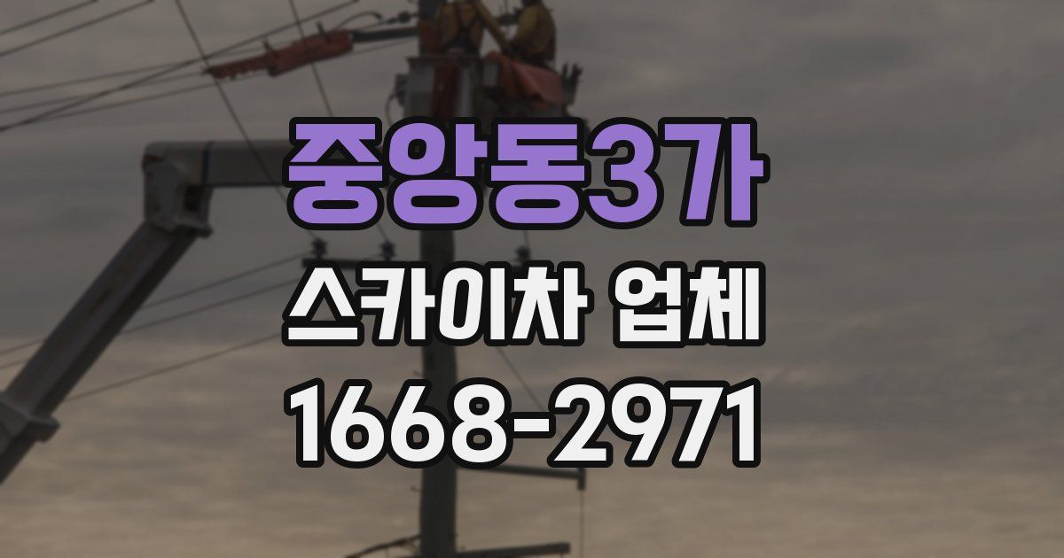 중앙동3가 스카이차 업체