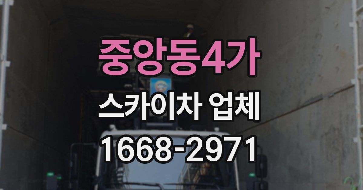 중앙동4가 스카이차 업체