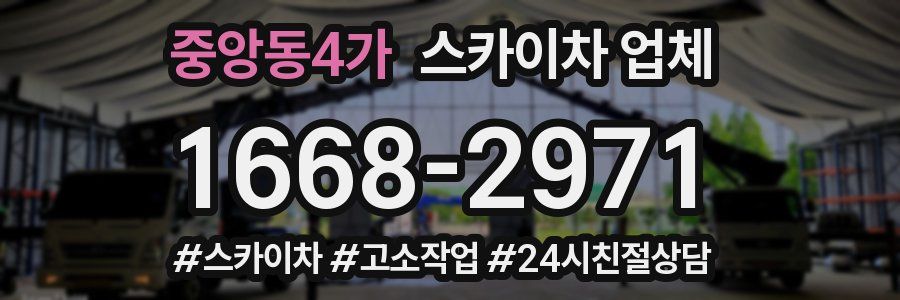중앙동4가 스카이차 업체
