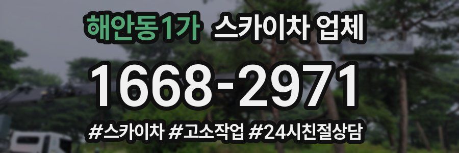 해안동1가 스카이차 업체