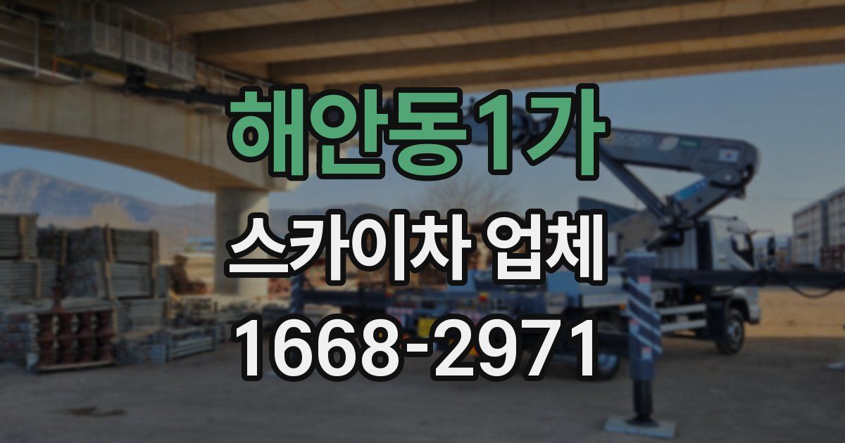 해안동1가 스카이차 업체