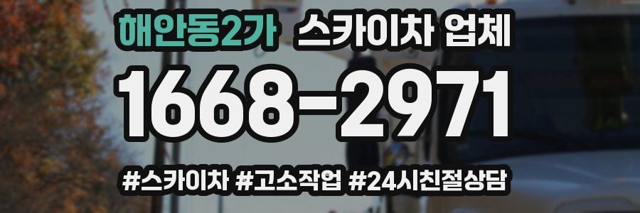 해안동2가 스카이차 업체