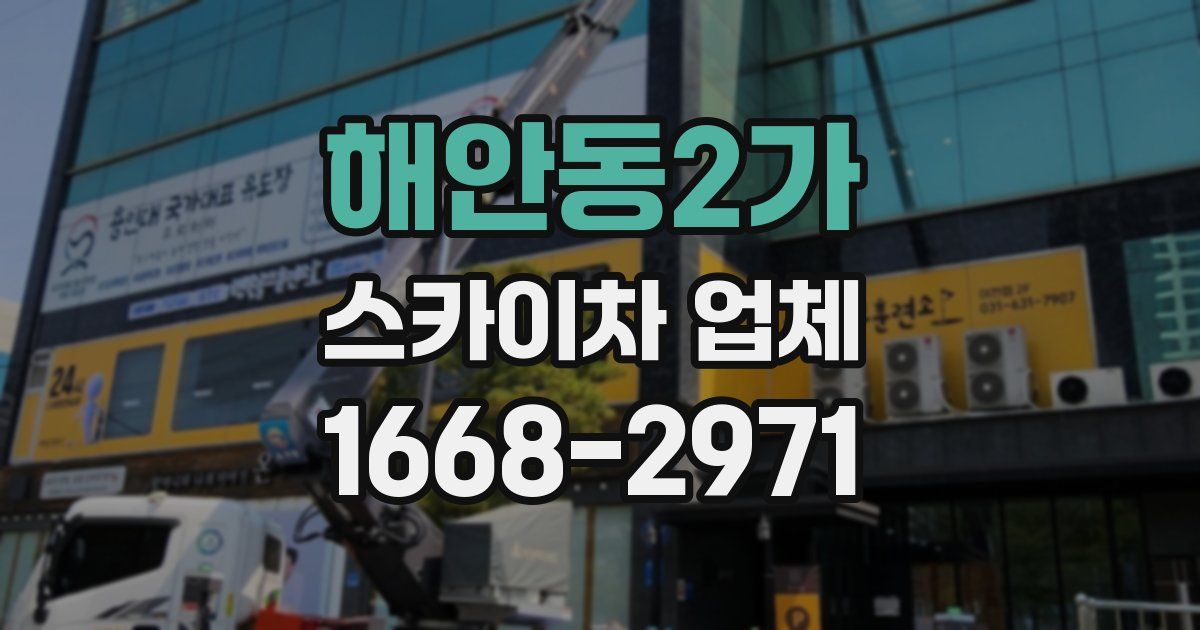 해안동2가 스카이차 업체